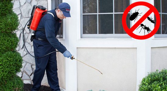 Başakşehir Bit İlaçlama böcek ilaçlama ve haşere kontrolü — ilaclama-tr.com